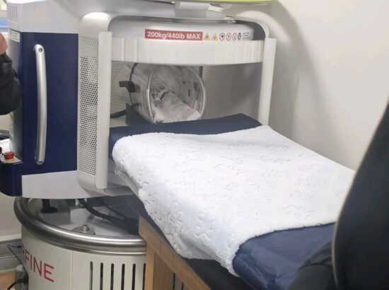 Ultra-Low-Field MRI