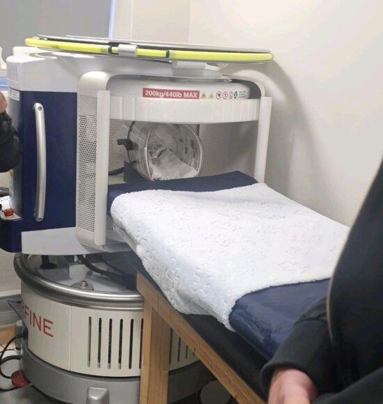 Ultra-Low-Field MRI